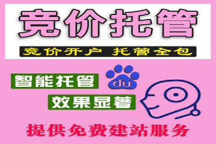 谷歌竞价优化：实战案例分析及策略